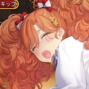 英雄＊戦姫 WW X [R18]