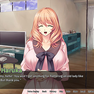 Hentai Homewrecker [Final]