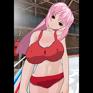 Hentai Fighters VR [v1.3.1]
